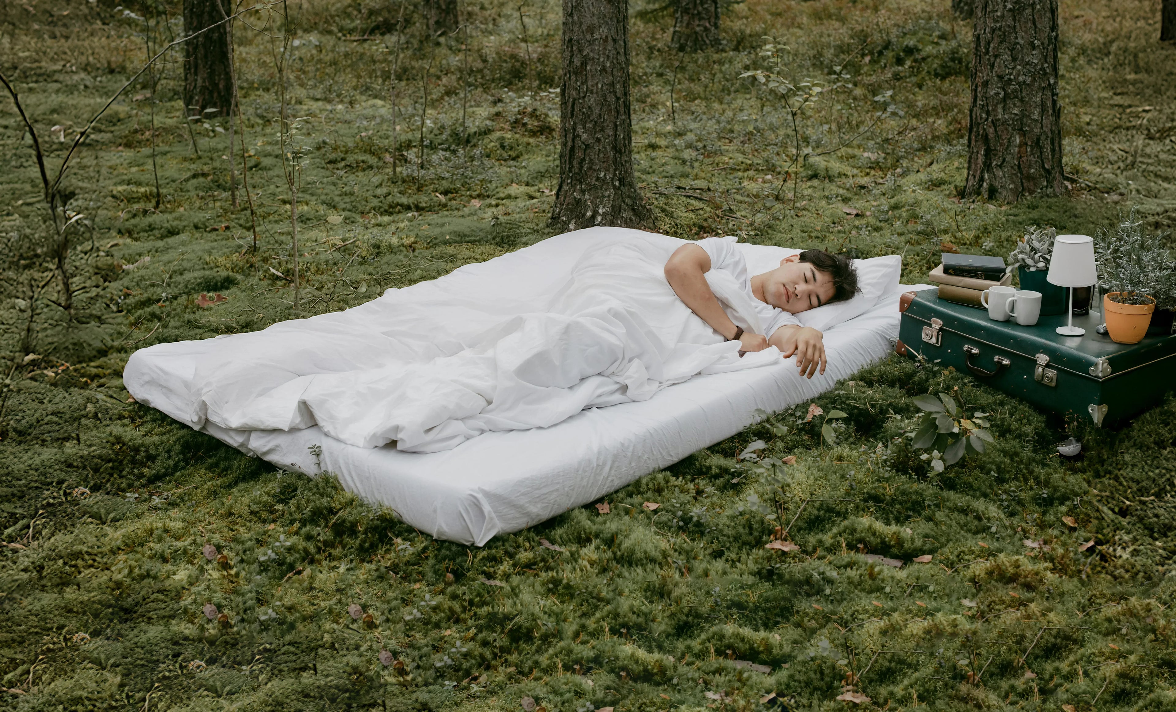 Mily Bedding Sustainability, showcasing the harmony between people and nature, and Mily's commitment to environmental protection and eco-friendly practices.